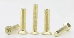 Golden Flat Head Screws M3*11