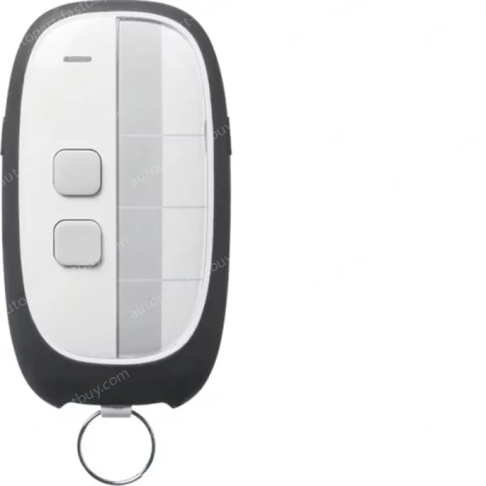 2-channel remote control