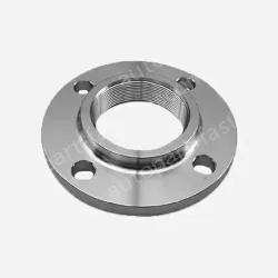 Companion Flange